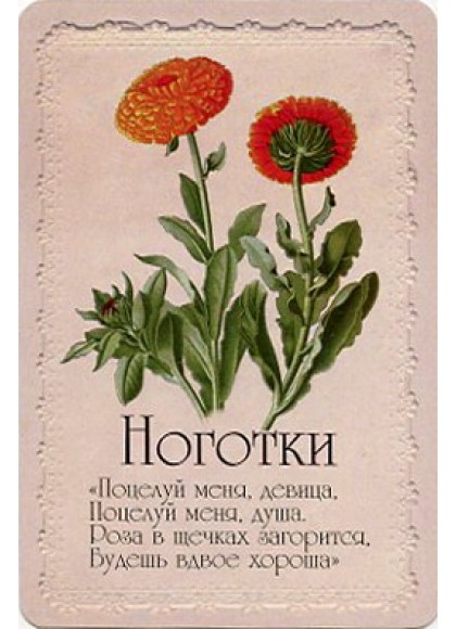 Оракул «Селам или Язык Цветов»